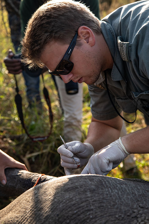 The rhino sensor allows park management to know where the rhinos are, the state of their health, and what they are doing